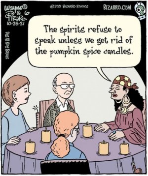 New-nostalgic-and-silly-Dan-Piraro-comics-with-sudden-twists-61c04222c0124__700.jpg