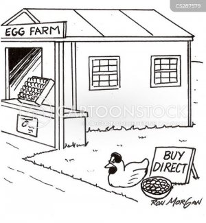 buydirect.jpg