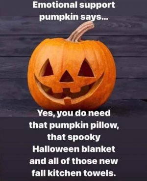 emotional support pumpkin jpeg.jpg