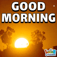 IMG_8700.gif