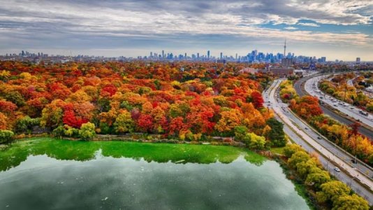 fall-colours.jpg
