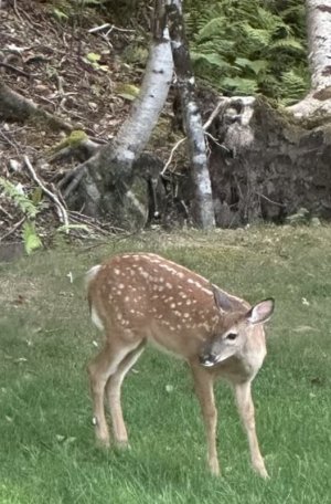 IMG_8138.jpeg