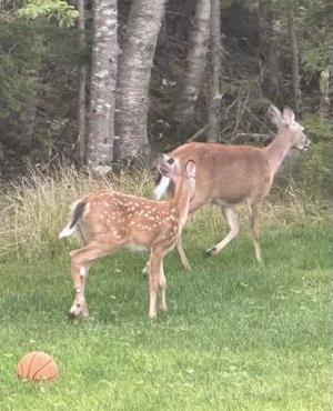 IMG_8149.jpeg