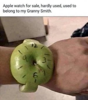 apple watch.jpg