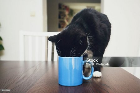 istockphoto-810177900-1024x1024.jpg istockphoto-810177900-1024x1024.jpg