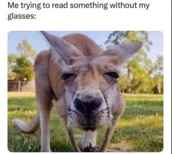 fbnsfng.JPG