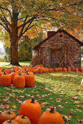 bucks-county-in-the-fall-scott-mahon.jpg