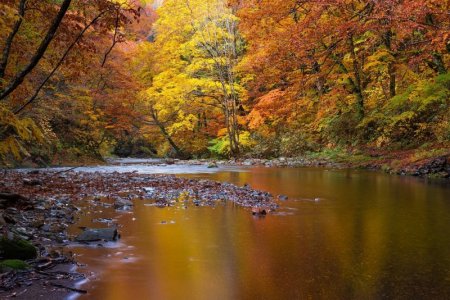 landscape-4685846_1280.jpg