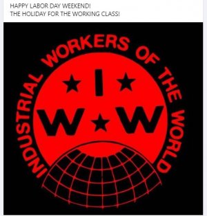 wdwer.JPG