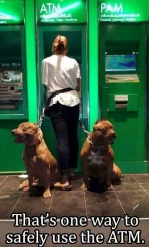 Funny-Animal-Pictures-That-Will-Make-Your-Day-001.jpg