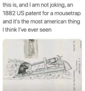 457795494_548133760880906_9202581602444379676_n.jpg