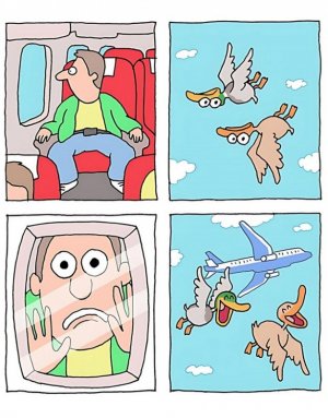 fooled ya.jpg