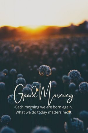 08e96c5d595d130f5102742b4f98e4c3[1].jpg