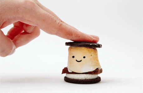 smoresquish.gif