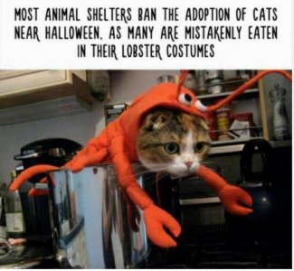 dbnfgndj.JPG
