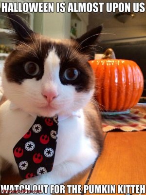 16-Funny-Halloween-Memes-5768-7.jpg