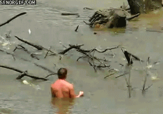 jumpingfish2.gif