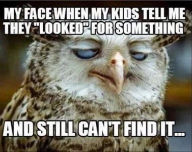 FB_IMG_1725332658291.jpg
