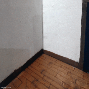 empty.gif