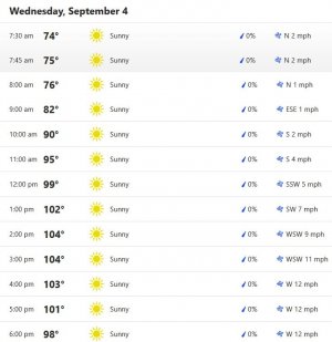 Hourly temps.JPG