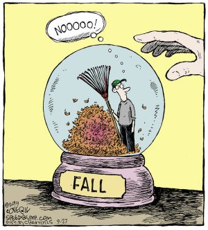 Autumn.jpg