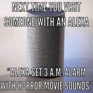 458270694_1078425593639604_9222896883338363023_n.jpg