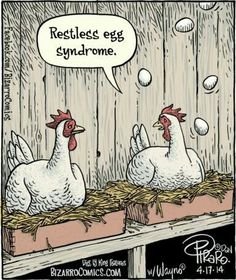 restlesseggs.jpg