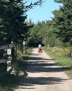 IMG_5772.jpeg