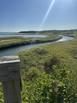 IMG_5791.jpeg