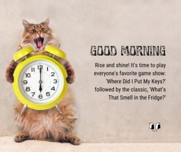 Funny-Good-Morning-Messages-Cat-Alarm-Clock (1).jpg