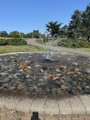 IMG_5805.jpeg