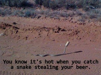 really hot.jpg