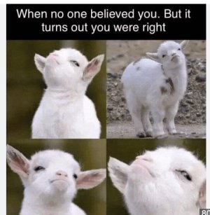 Goats baby.jpeg