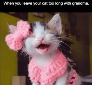 img.jpg