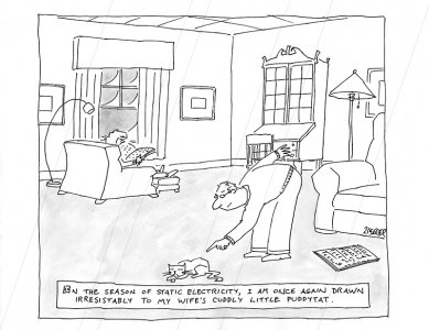 1725617716261.jpeg 1725617716261.jpeg