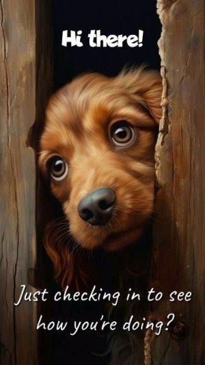 5fc862132b64ce641c909b470a72b971[1].jpg