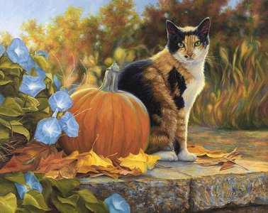 pumpkincat.jpg