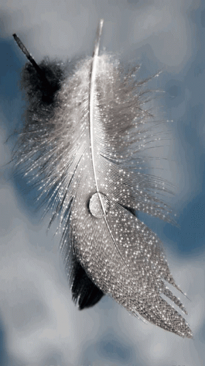 89b715b824c93b6f73abbde03ef37bd9.gif