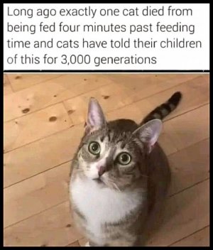 458507097_10224452181189165_6060337090528421152_n.jpg