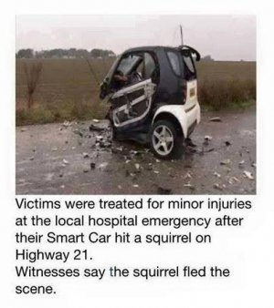Smart-Car-vs.-Squirrel-1824405607.jpg