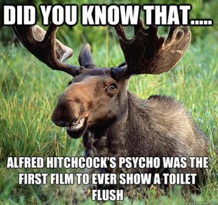 hitch2.jpg