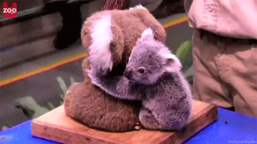 R (2).gif