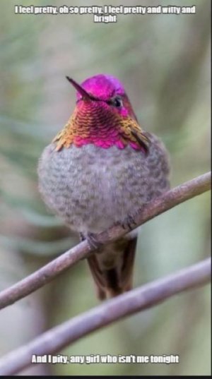 pretty.jpg