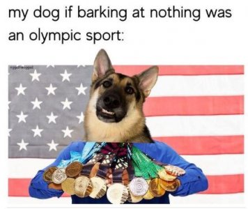 cvdg.JPG