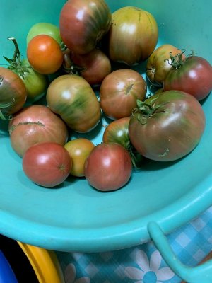 maters.jpg