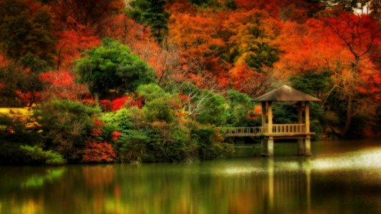 Autumn Scene 1.jpg