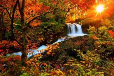 Autumn-season-40.jpg