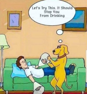 0e0bd0c424ed08a96ffd40205e5d5fc2.jpg