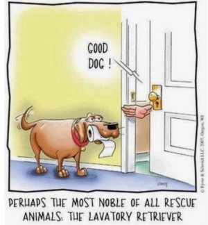 retriever.jpg
