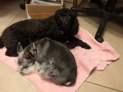 angel+mija.jpg
